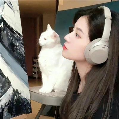 孤驰无归